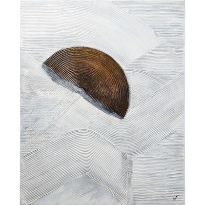 Skylab, Art, Paintings