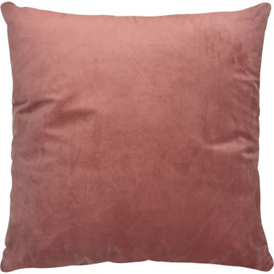 Rose, Décor, Pillows