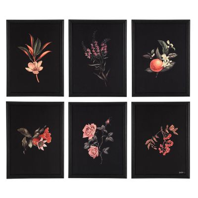 Wallflower, Art, Other Décor